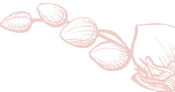 Eyebrow shaping Brooklyn